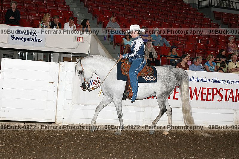 Proof Number 09buck-0972