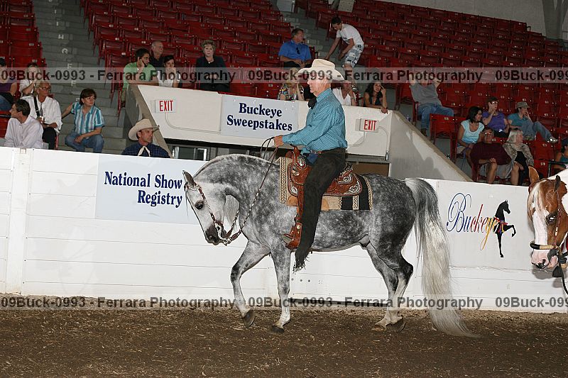 Proof Number 09buck-0993