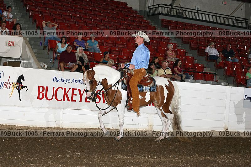 Proof Number 09buck-1005