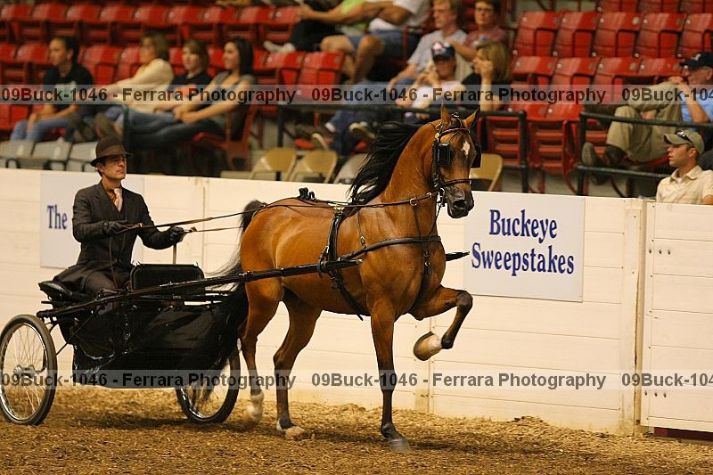 Proof Number 09buck-1046