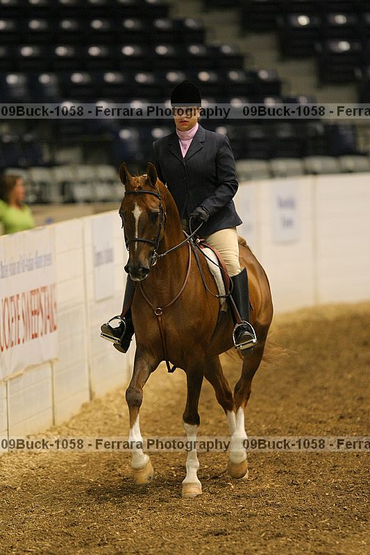 Proof Number 09buck-1058