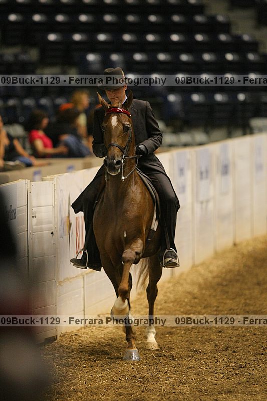 Proof Number 09buck-1129