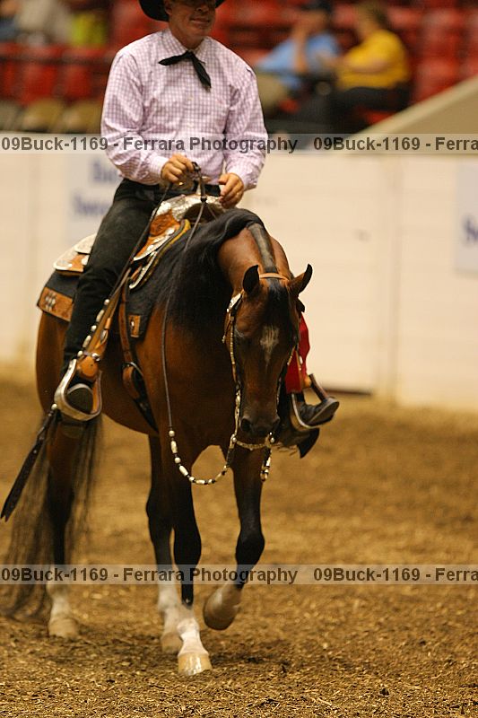 Proof Number 09buck-1169
