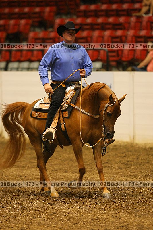 Proof Number 09buck-1173