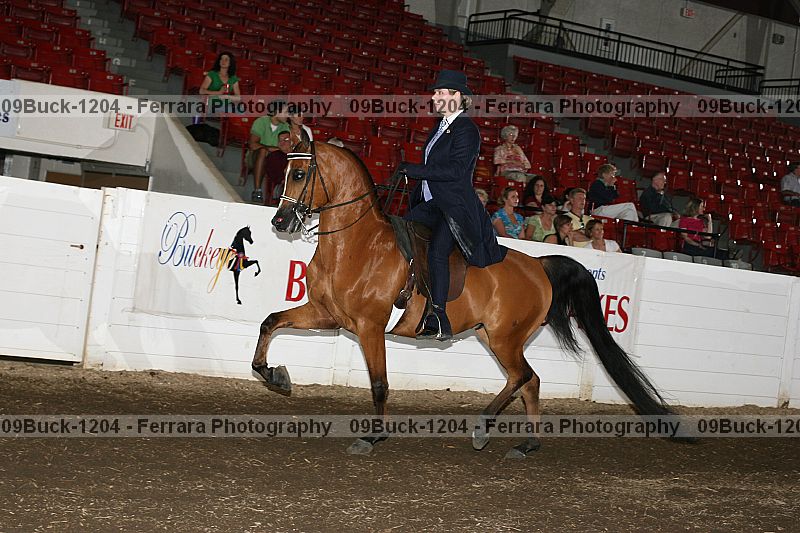 Proof Number 09buck-1204