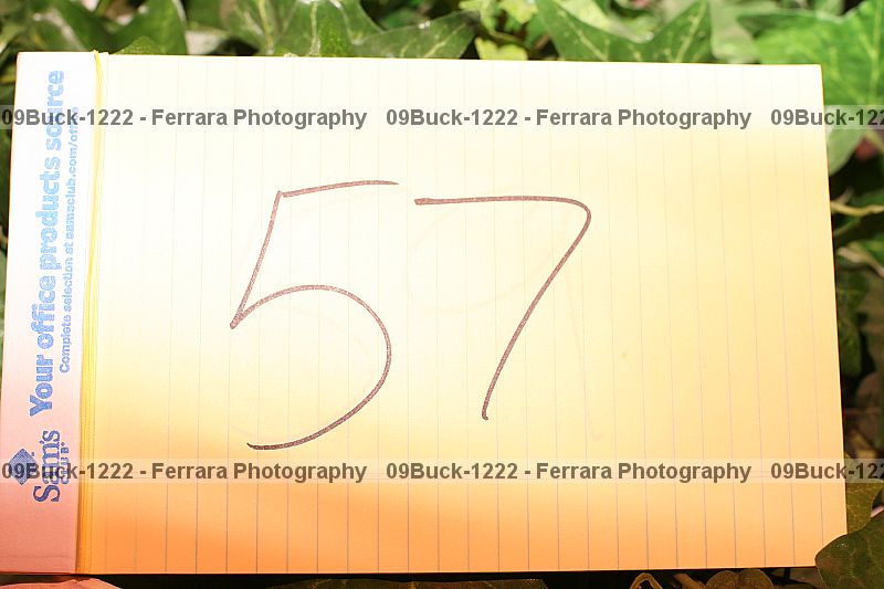 Proof Number 09buck-1222