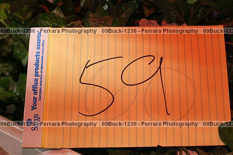 Proof Number 09buck-1236