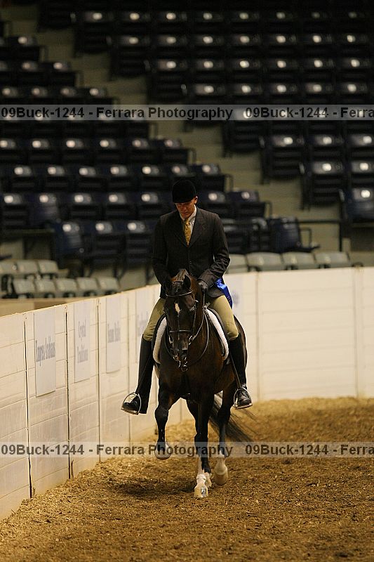 Proof Number 09buck-1244