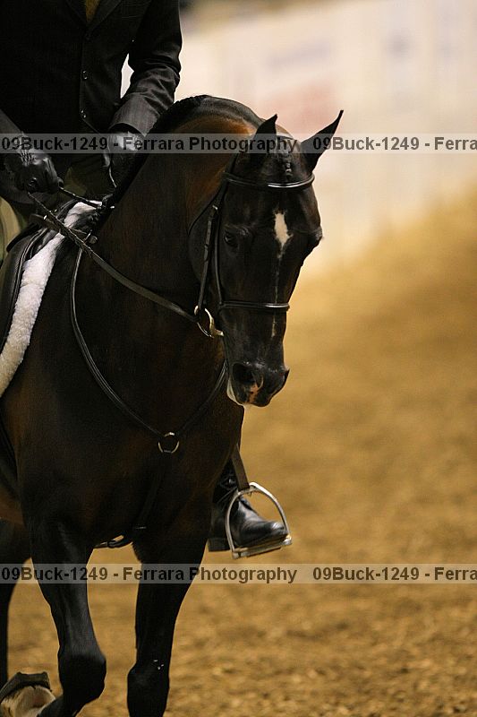 Proof Number 09buck-1249