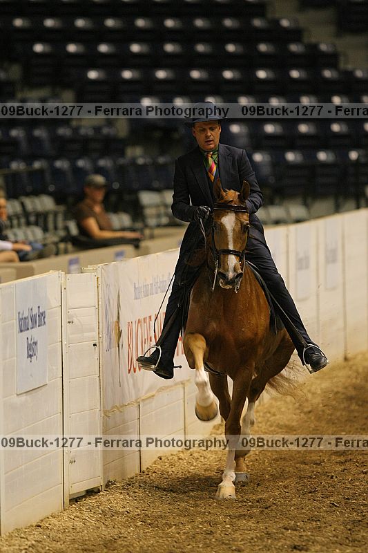 Proof Number 09buck-1277