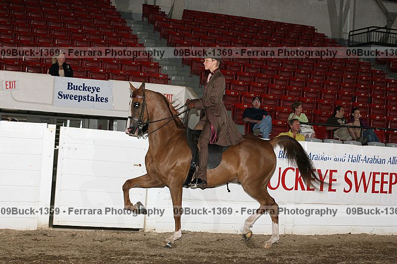 Proof Number 09buck-1369