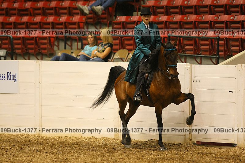 Proof Number 09buck-1377