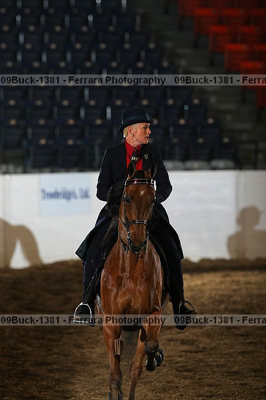 Proof Number 09buck-1381