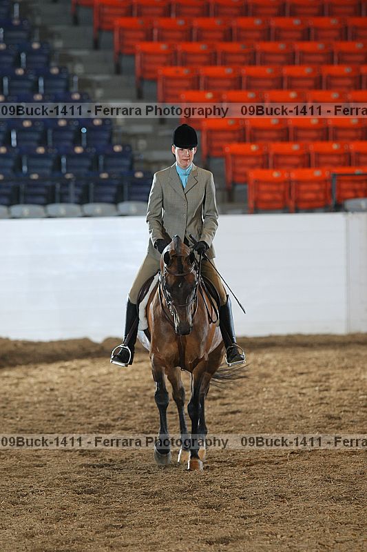 Proof Number 09buck-1411