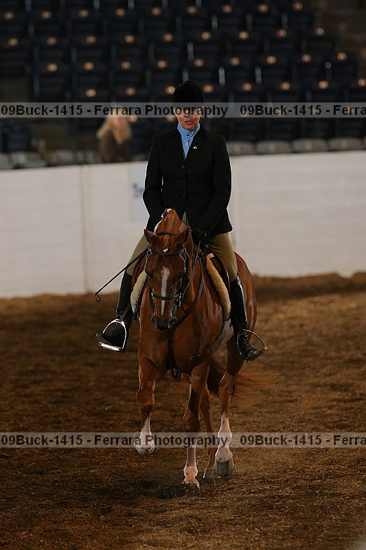Proof Number 09buck-1415