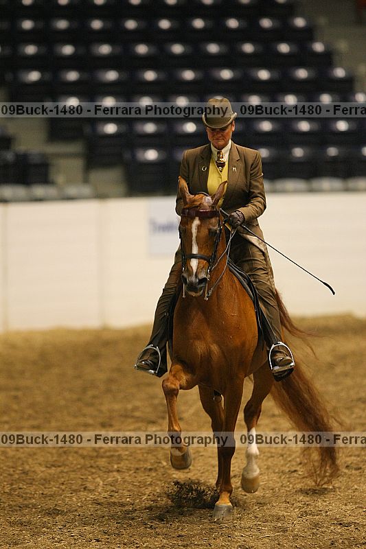 Proof Number 09buck-1480