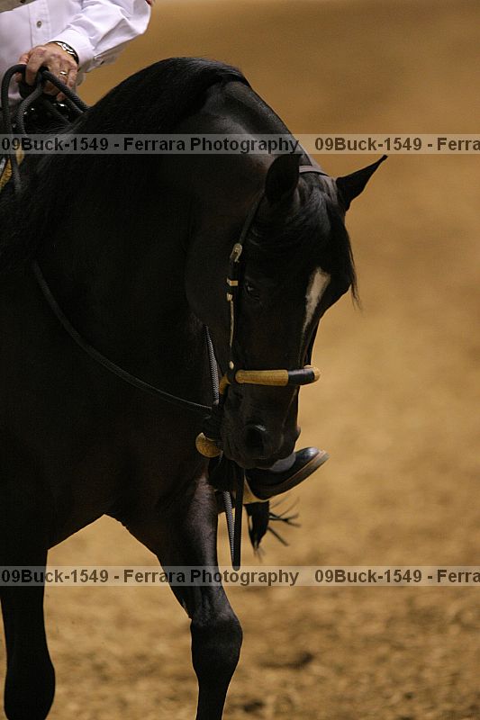 Proof Number 09buck-1549
