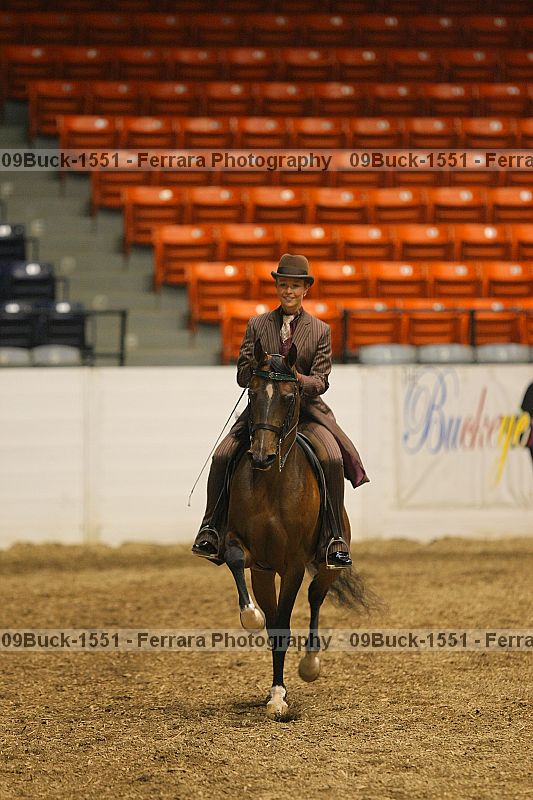 Proof Number 09buck-1551