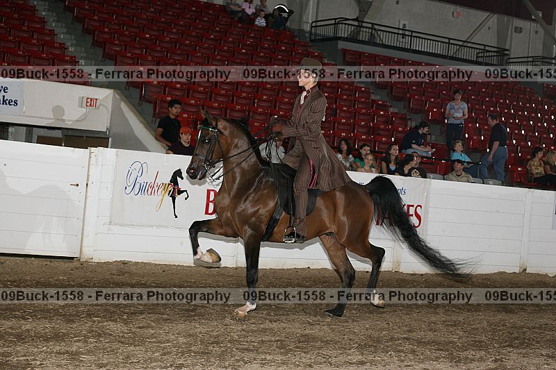 Proof Number 09buck-1558
