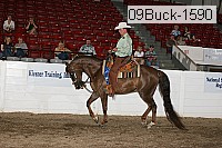 09buck-1590 thumbnail