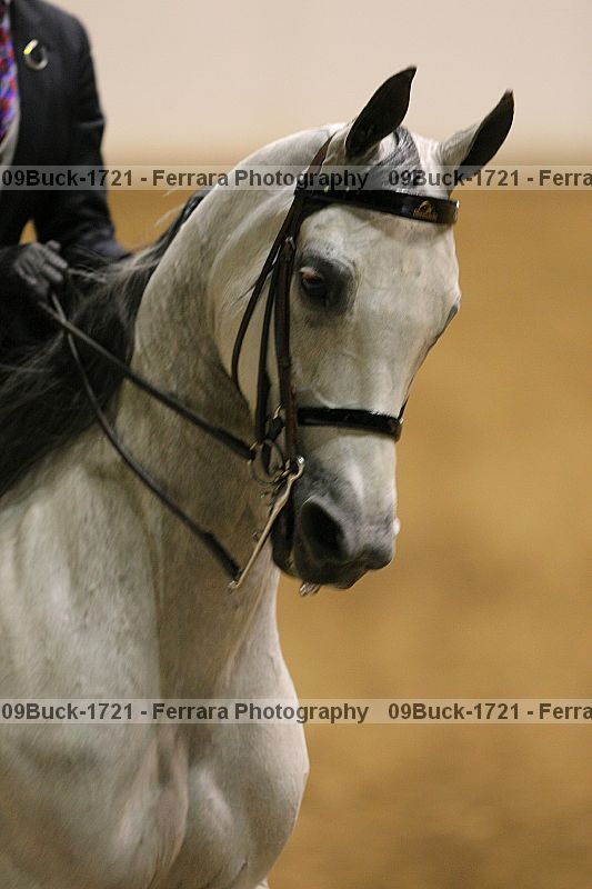 Proof Number 09buck-1721