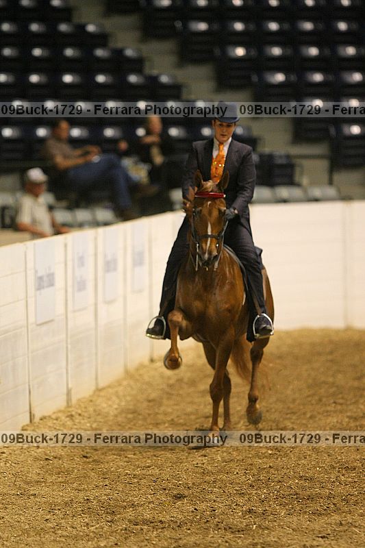 Proof Number 09buck-1729
