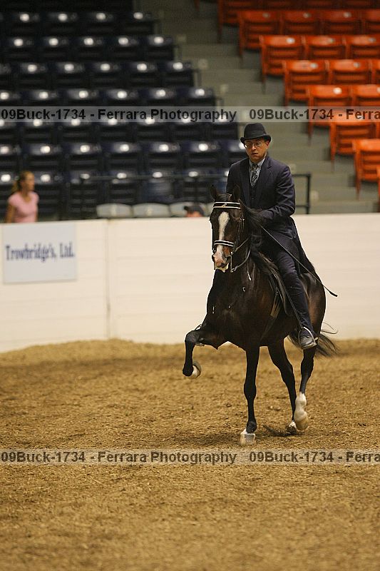 Proof Number 09buck-1734