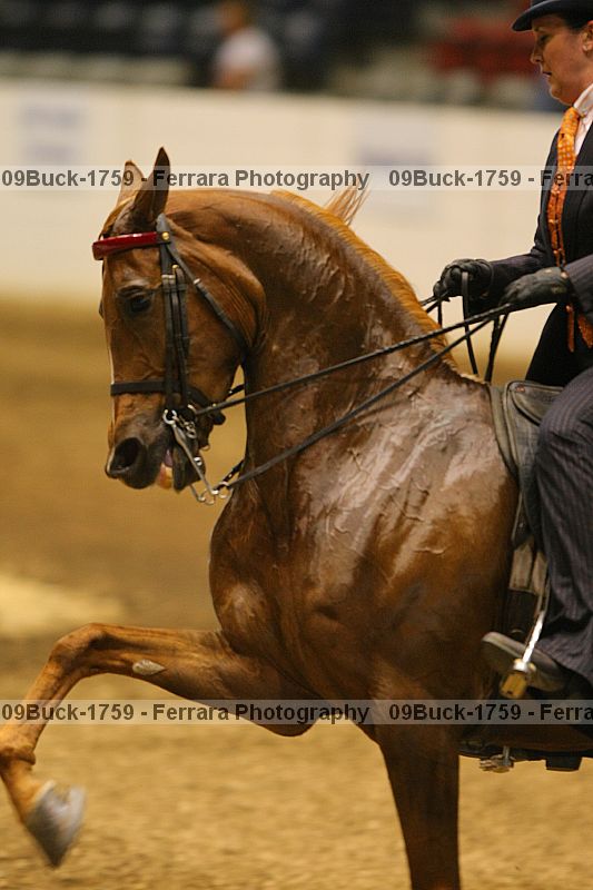 Proof Number 09buck-1759