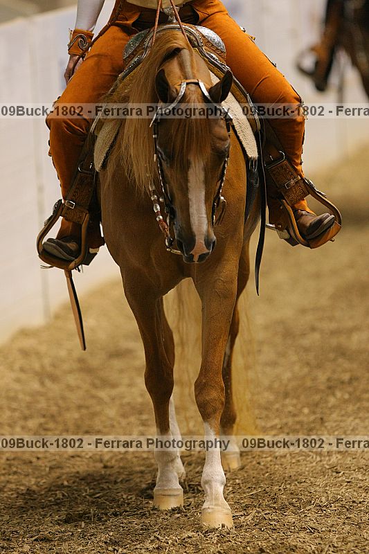 Proof Number 09buck-1802