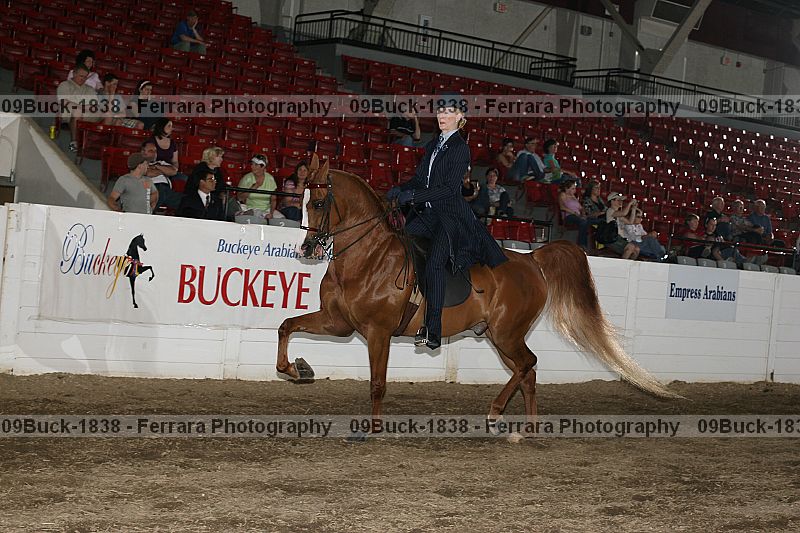 Proof Number 09buck-1838