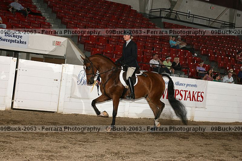 Proof Number 09buck-2063