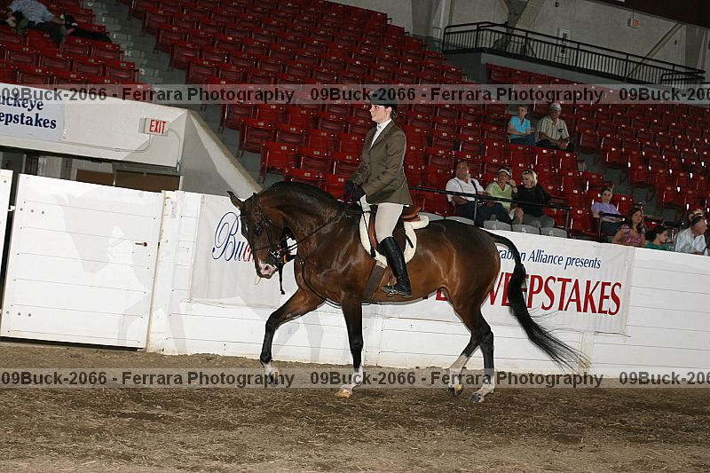 Proof Number 09buck-2066