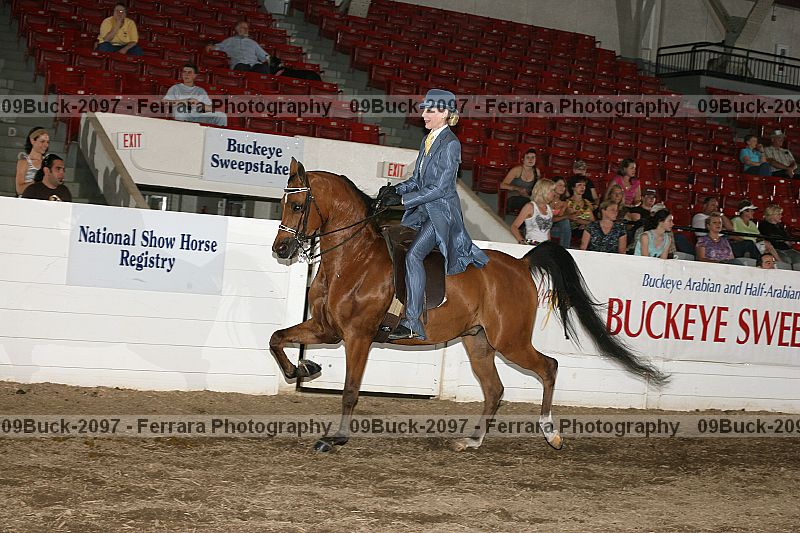 Proof Number 09buck-2097