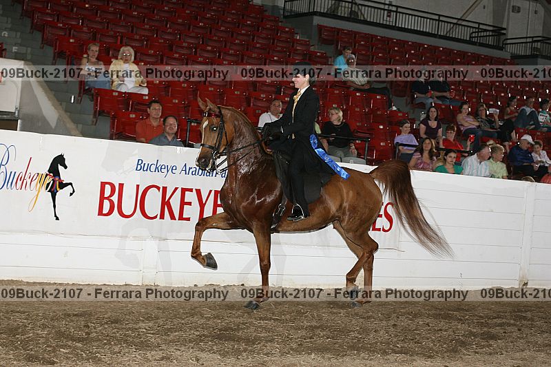 Proof Number 09buck-2107