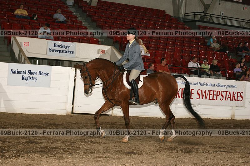 Proof Number 09buck-2120
