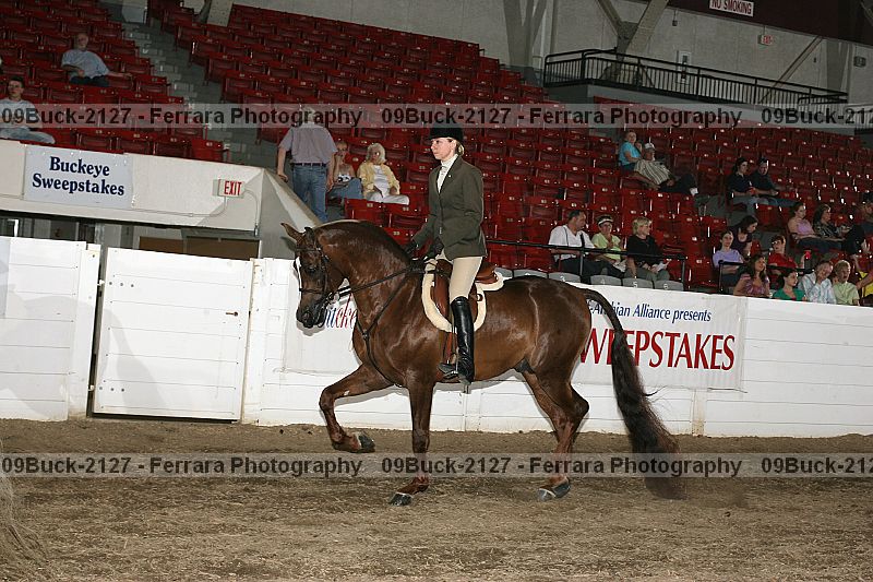Proof Number 09buck-2127