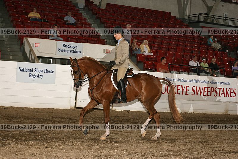 Proof Number 09buck-2129