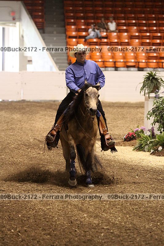 Proof Number 09buck-2172