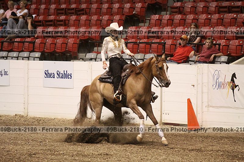 Proof Number 09buck-2180