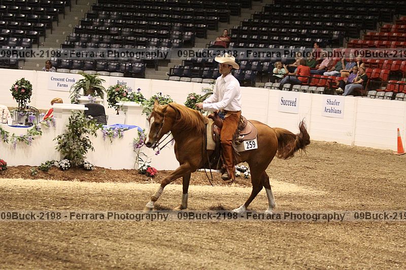 Proof Number 09buck-2198