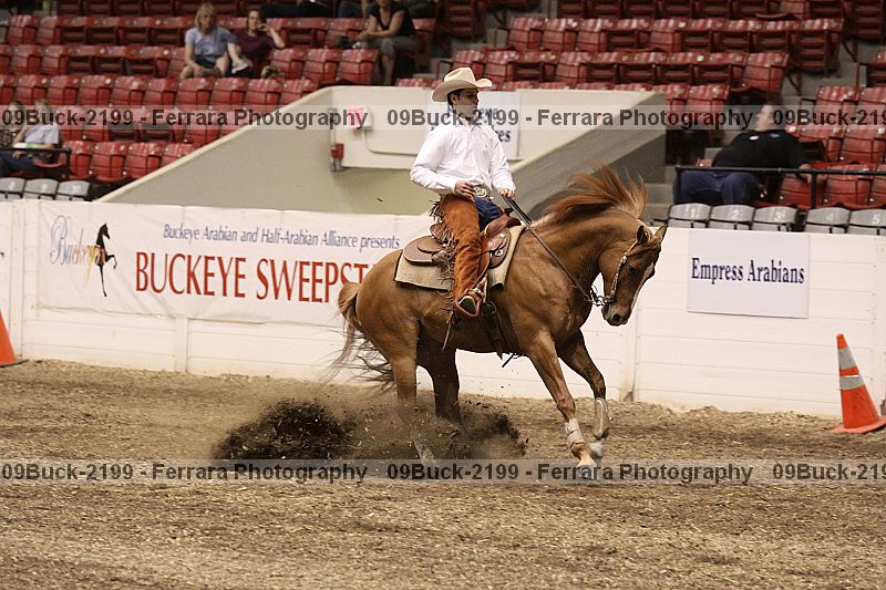 Proof Number 09buck-2199