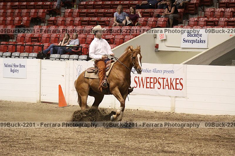 Proof Number 09buck-2201