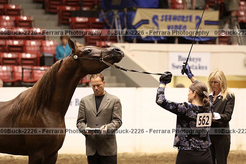 Proof Number 09buck-2226