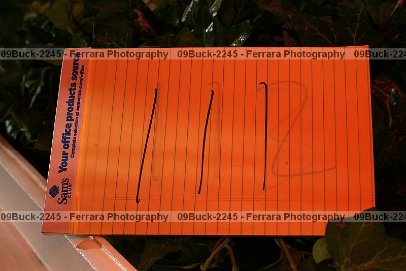 Proof Number 09buck-2245