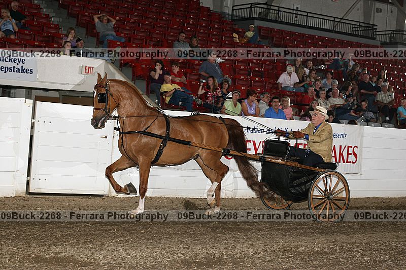 Proof Number 09buck-2268