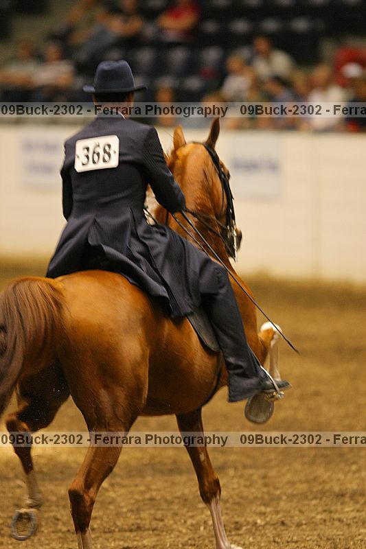 Proof Number 09buck-2302