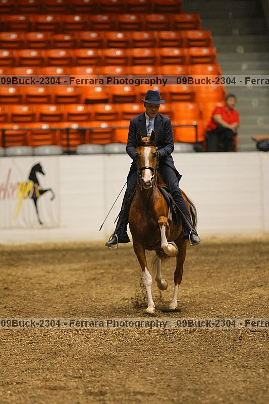 Proof Number 09buck-2304