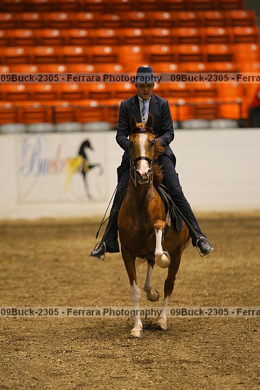 Proof Number 09buck-2305