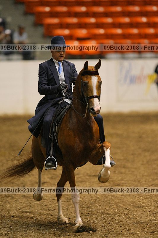 Proof Number 09buck-2308