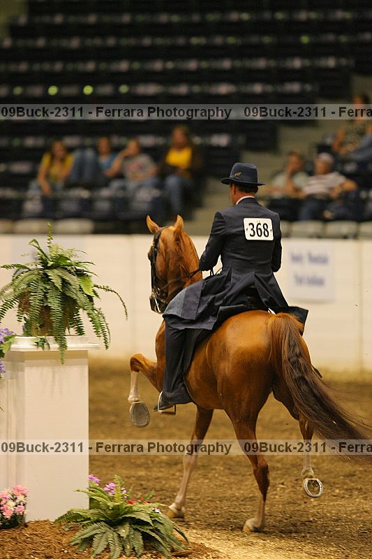 Proof Number 09buck-2311